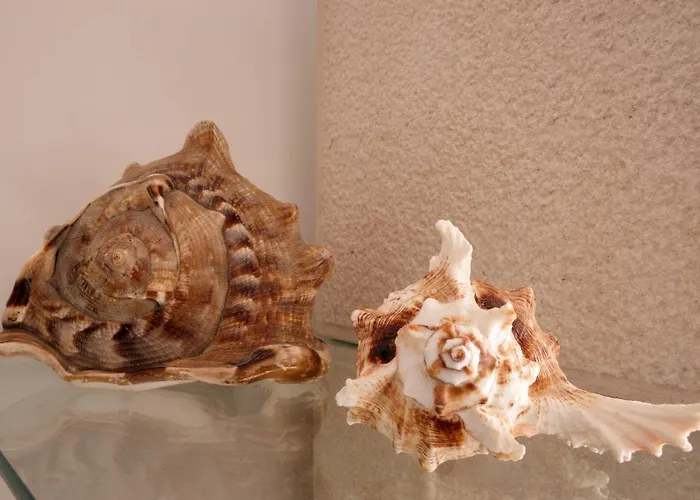 Appartement Varandas Do Oasis *