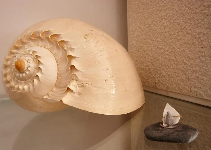 Varandas Do Oasis Appartement