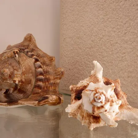 Apartamento Varandas Do Oásis *